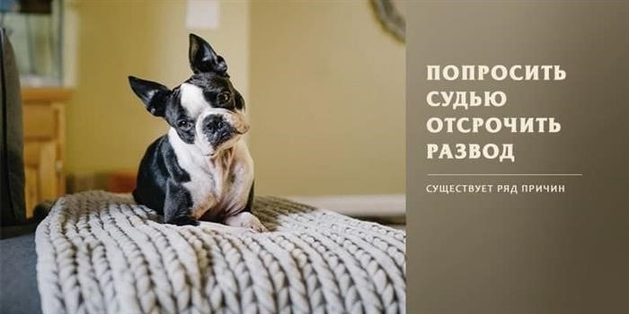 Отсрочка развода осуществляется в связи с рядом обоснованных факторов