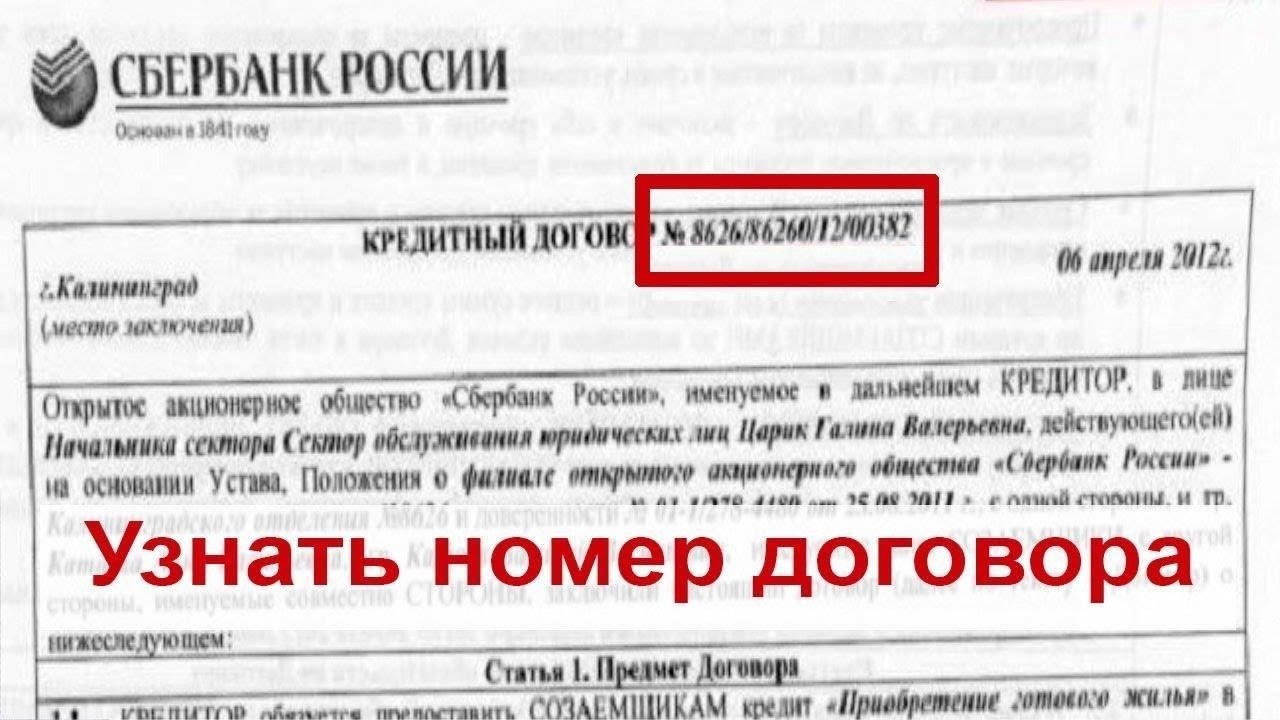 Где найти номер кредитного договора в документах