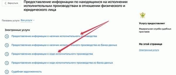 Использование номера исполнительного дела для отслеживания хода исполнения