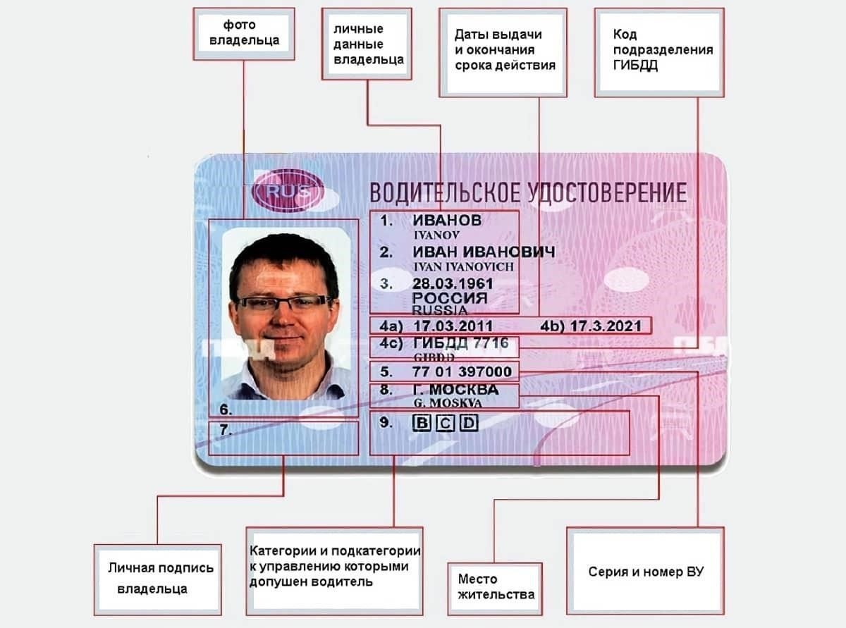 Каковы юридические сроки приостановления действия водительских прав?