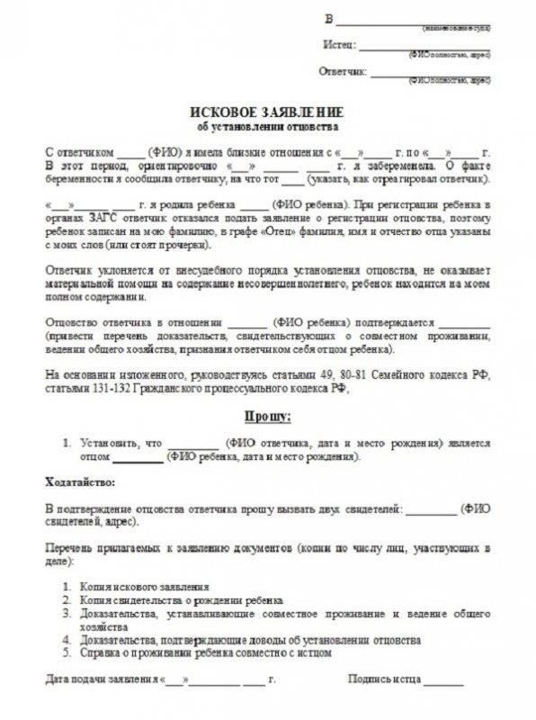 Подача судебного иска об установлении отцовства: Необходимые шаги