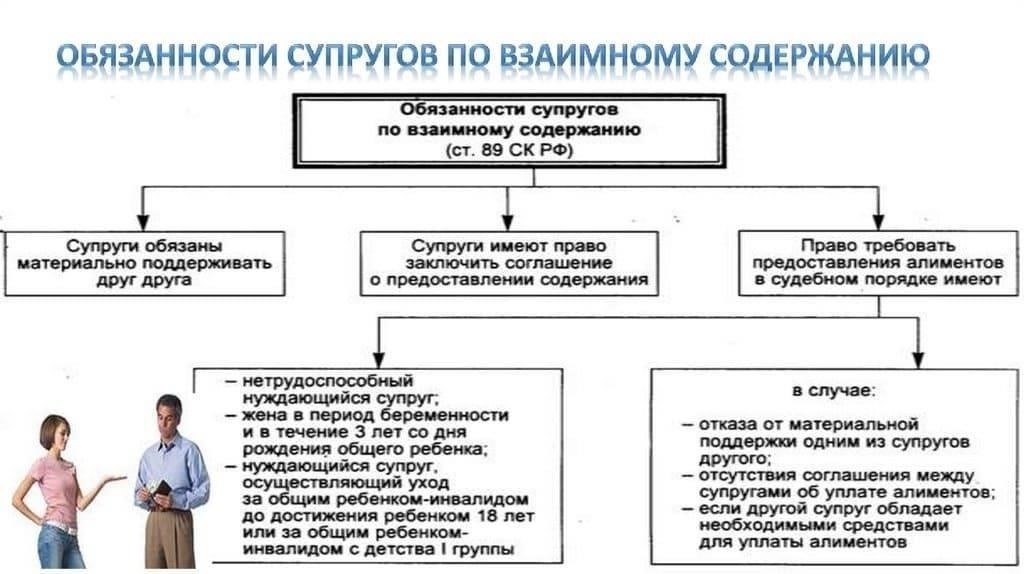 Понимание юридической обязанности супруга оказывать помощь после развода
