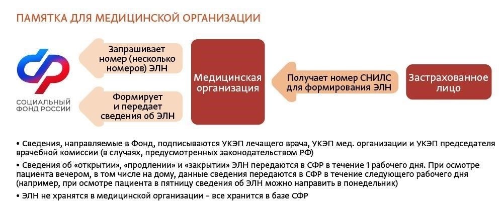 Понимание выплат по больничному листу и их правового статуса