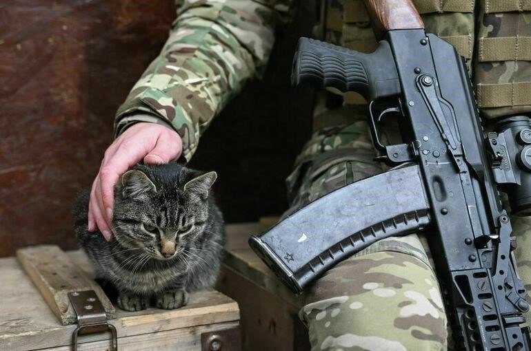 Право на получение военных компенсаций в Москве: Кто имеет право?