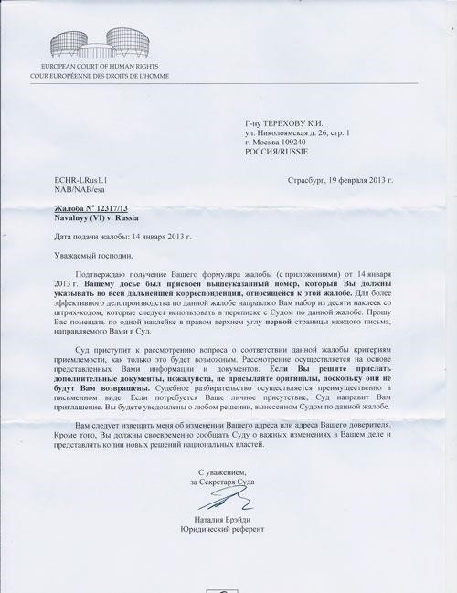 Варианты подачи жалоб в Европейский суд по правам человека